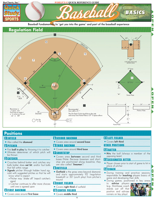 Title details for Baseball Basics by Steve Berner - Available